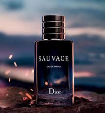 Dior - Sauvage For Men 100 ml Edt | Best Perfum For Gift | long lasting Fregrence