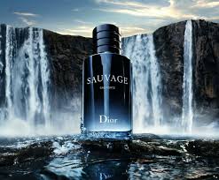 Dior - Sauvage For Men 100 ml Edt | Best Perfum For Gift | long lasting Fregrence